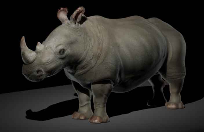 rhino