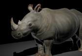 Rhino render